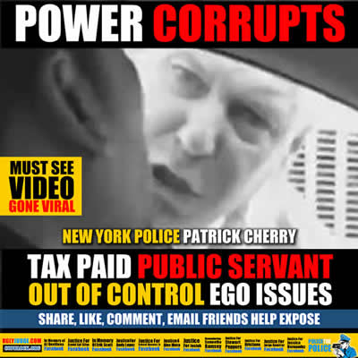 new york police detective patrick cherry out of control tax paid public servant
