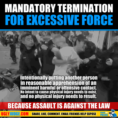 mandatory termination for excessive force