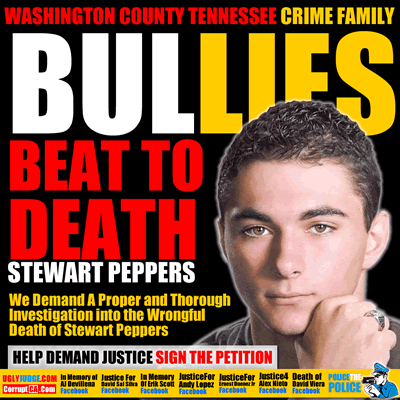 washington county tennessee stewart peppers beat to death