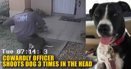 officer Marcus Terry Florida City police shoots dog
